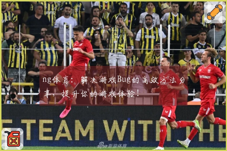 ng体育：解决游戏Bug的高效方法分享，提升你的游戏体验！