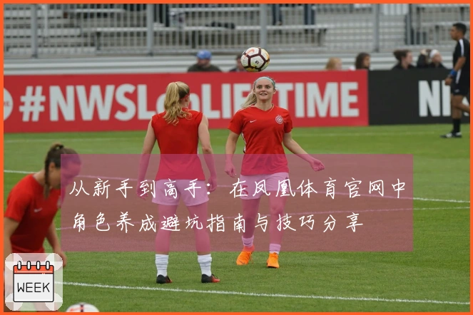 从新手到高手：在凤凰体育官网中角色养成避坑指南与技巧分享