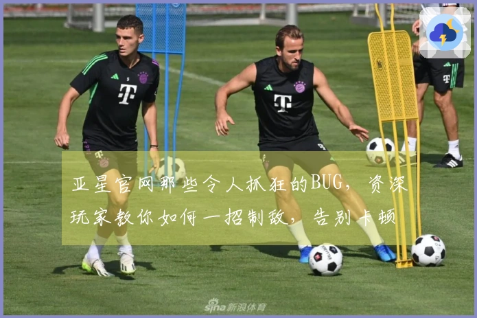 亚星官网那些令人抓狂的BUG，资深玩家教你如何一招制敌，告别卡顿烦恼！